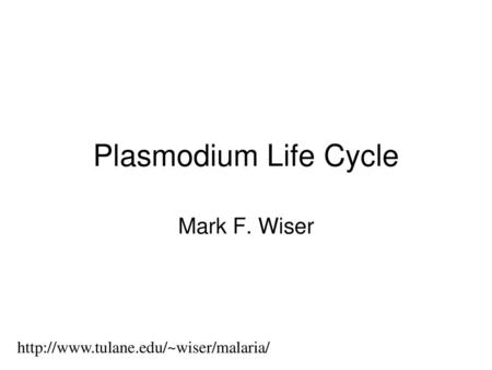 Plasmodium Life Cycle Mark F. Wiser