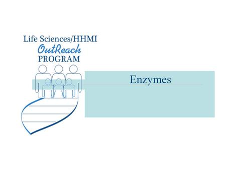 Enzymes.