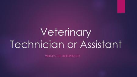 Veterinary Technician or Assistant