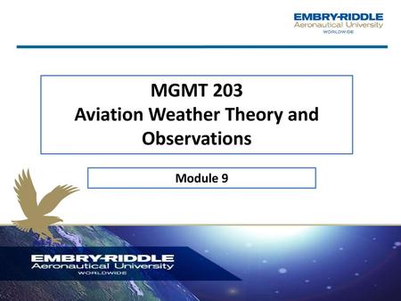 MGMT 203 Aviation Weather Theory and Observations