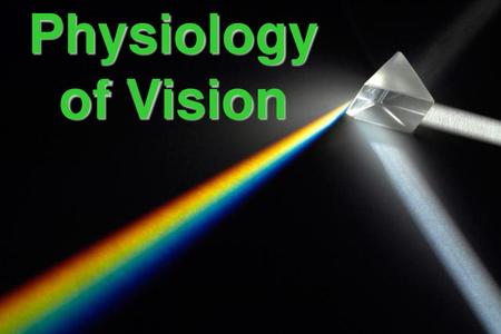 Physiology of Vision.