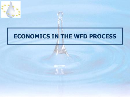 ECONOMICS IN THE WFD PROCESS