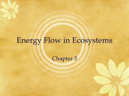 Energy Flow in Ecosystems