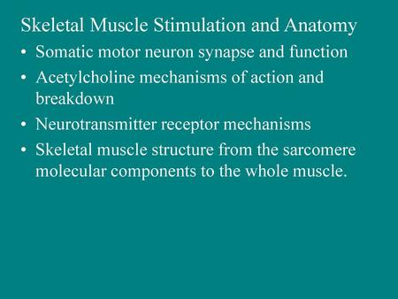 Skeletal Muscle Stimulation and Anatomy