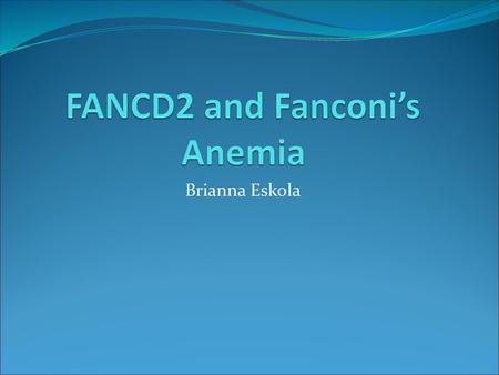 FANCD2 and Fanconi’s Anemia