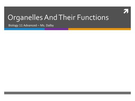 Organelles And Their Functions