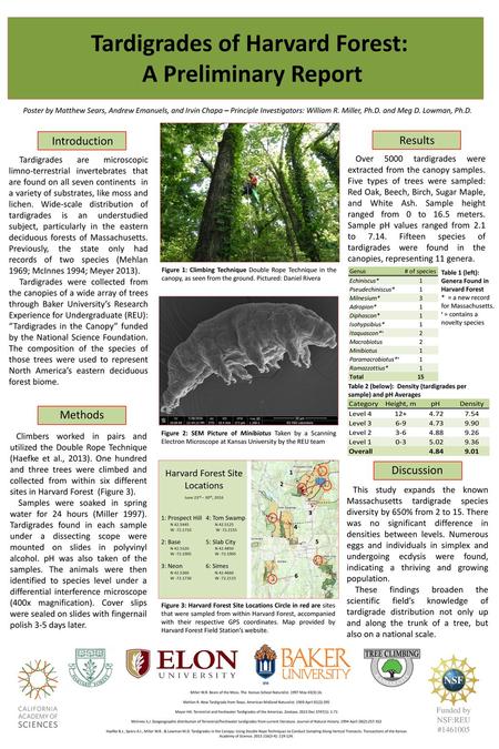 Tardigrades of Harvard Forest: