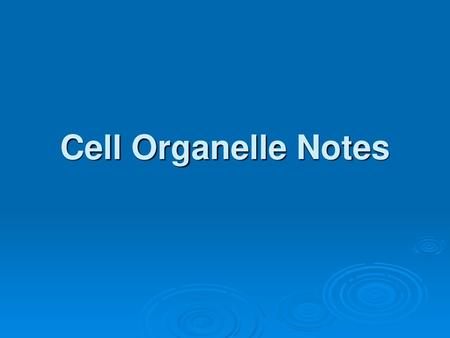 Cell Organelle Notes.