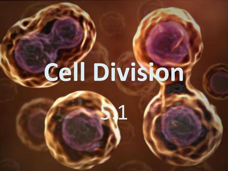 Cell Division 5.1.