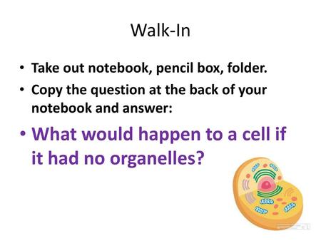 What would happen to a cell if it had no organelles?