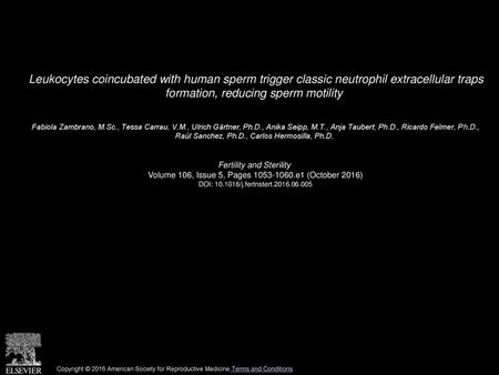 Leukocytes coincubated with human sperm trigger classic neutrophil extracellular traps formation, reducing sperm motility  Fabiola Zambrano, M.Sc., Tessa.