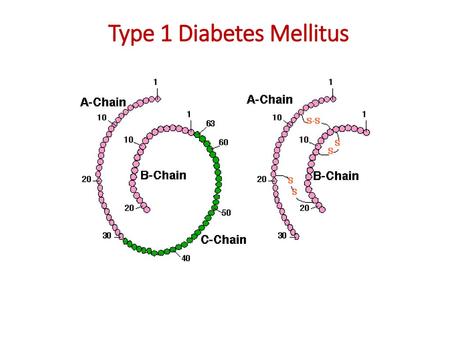 Type 1 Diabetes Mellitus