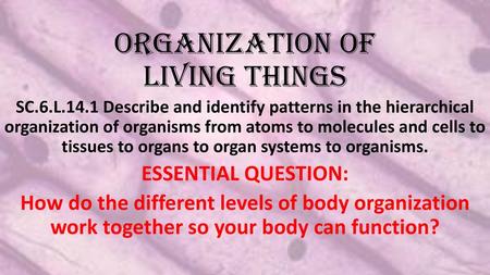 Organization of Living Things