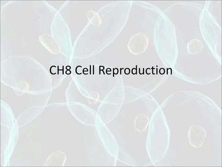 CH8 Cell Reproduction.