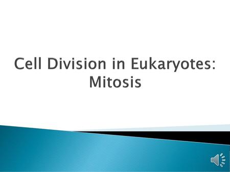 Cell Division in Eukaryotes: Mitosis