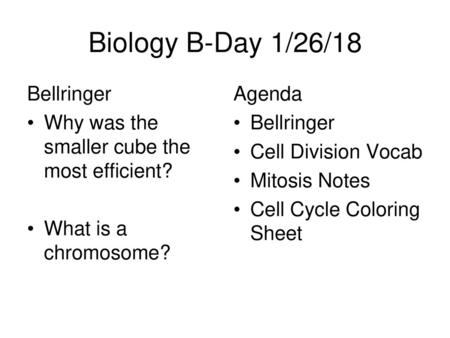 Biology B-Day 1/26/18 Bellringer