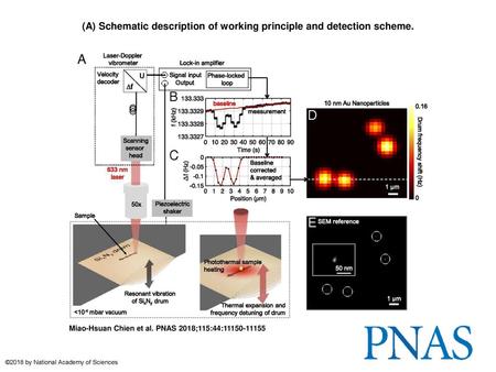 (A) Schematic description of working principle and detection scheme.