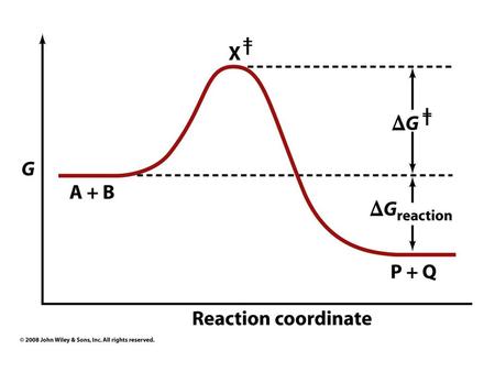 Pyruvate is reduced to lactate in anaerobic metabolism in muscle cells FIGURE An oxidation-reduction reaction. Shown here is the oxidation.