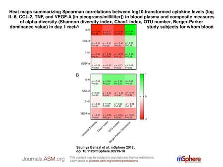 Heat maps summarizing Spearman correlations between log10-transformed cytokine levels (log IL-6, CCL-2, TNF, and VEGF-A [in picograms/milliliter]) in blood.