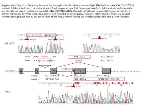 Supplementary Figure 1 – cDNA analysis reveals that three splice site alterations generate multiple RNA isoforms. (A) c.430-1G>C (IVS 6) results in 3.