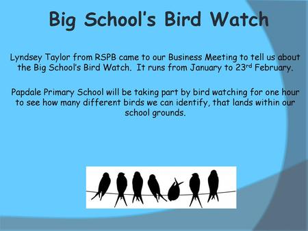 Big School’s Bird Watch