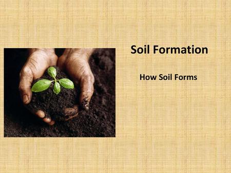 Soil Formation How Soil Forms.