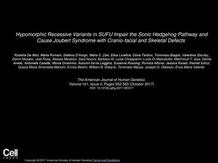 Hypomorphic Recessive Variants in SUFU Impair the Sonic Hedgehog Pathway and Cause Joubert Syndrome with Cranio-facial and Skeletal Defects  Roberta De.