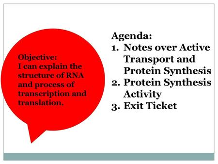 Notes over Active Transport and Protein Synthesis