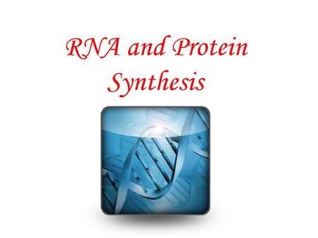 RNA and Protein Synthesis