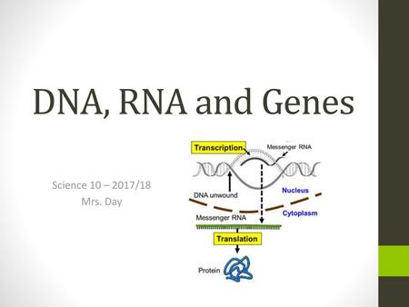 DNA, RNA and Genes Science 10 – 2017/18 Mrs. Day.