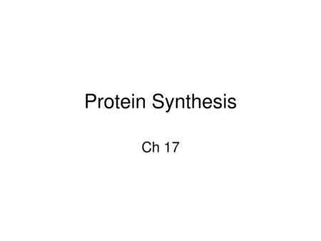 Protein Synthesis Ch 17.