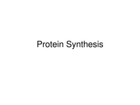 Protein Synthesis.