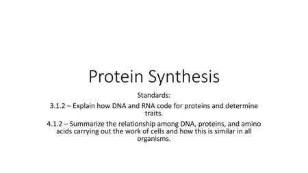 Protein Synthesis Standards: