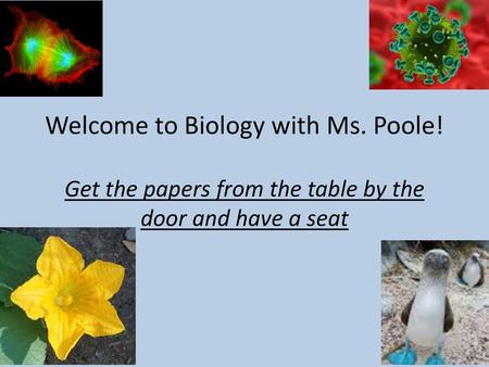 Welcome to Biology with Ms. Poole