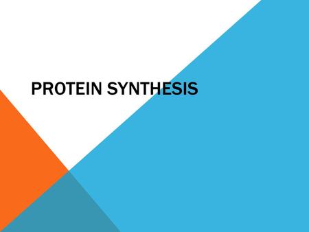 Protein Synthesis.