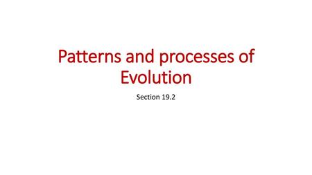 Patterns and processes of Evolution