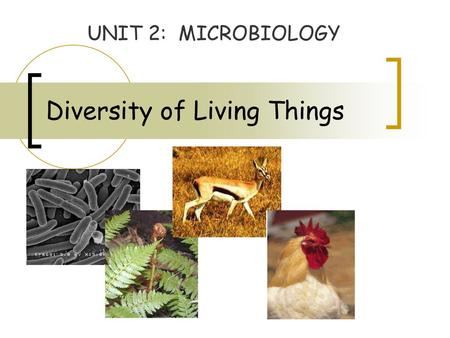 Diversity of Living Things