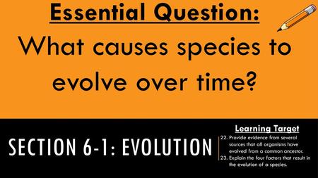 What causes species to evolve over time?