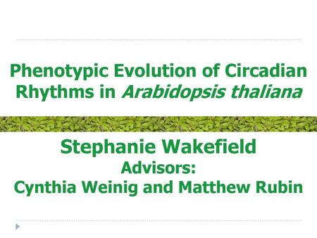 Phenotypic Evolution of Circadian Rhythms in Arabidopsis thaliana