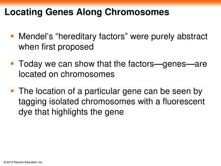 Locating Genes Along Chromosomes