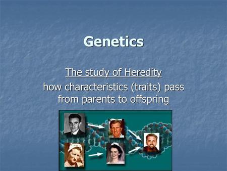 how characteristics (traits) pass from parents to offspring