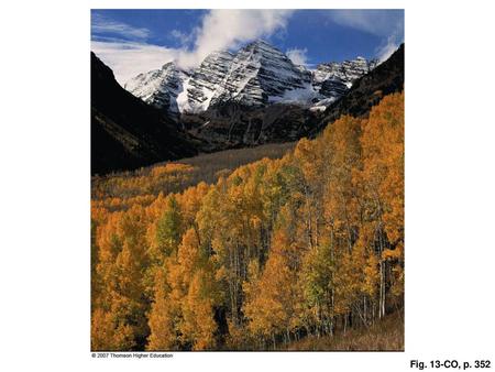 In mountainous regions, a variety of climate types can exist within a relatively short distance. Here, in Colorado, aspen change color in a continental-type.