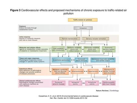 Nat. Rev. Cardiol. doi: /nrcardio