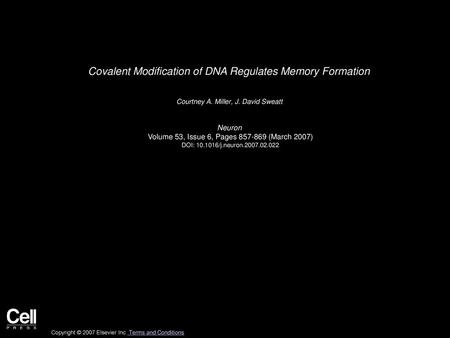 Covalent Modification of DNA Regulates Memory Formation