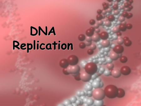 DNA Replication.