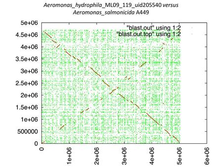 Aeromonas_hydrophila_ML09_119_uid versus Aeromonas_salmonicida A449