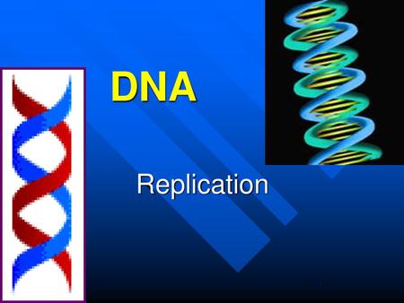 DNA Replication.