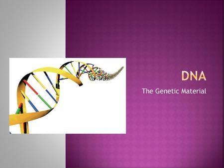 DNA The Genetic Material.