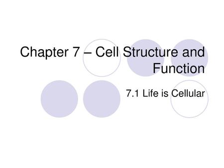 Chapter 7 – Cell Structure and Function