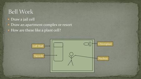 Bell Work Draw a jail cell Draw an apartment complex or resort